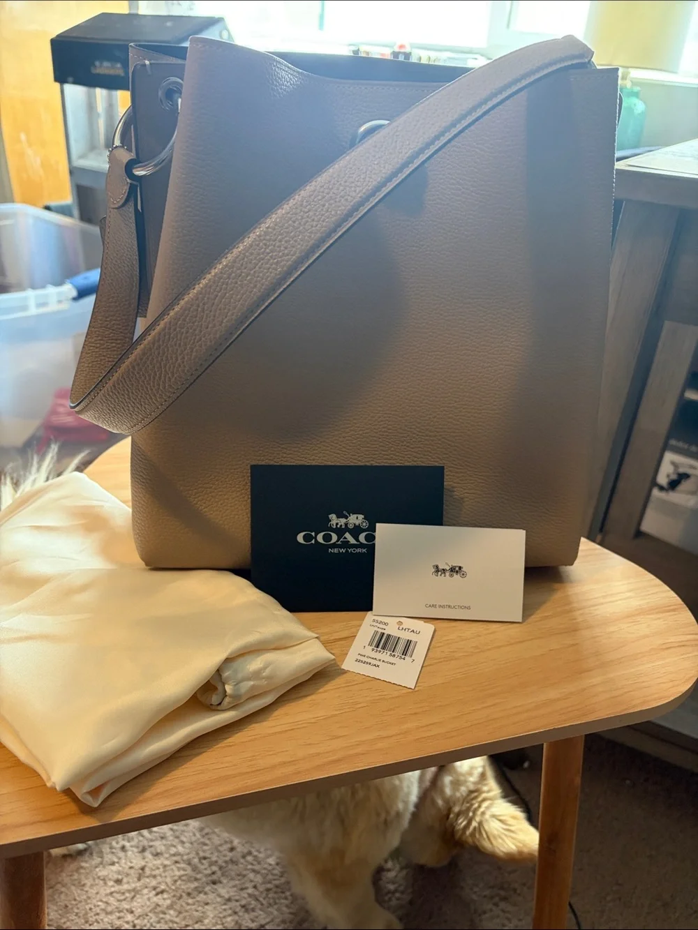 Coach Taupe Leather bucket bag - Silver Hardware